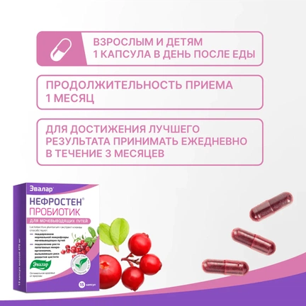 Нефростен пробиотик для мочевыводящих путей, Капсулы желатиновые, 15 шт