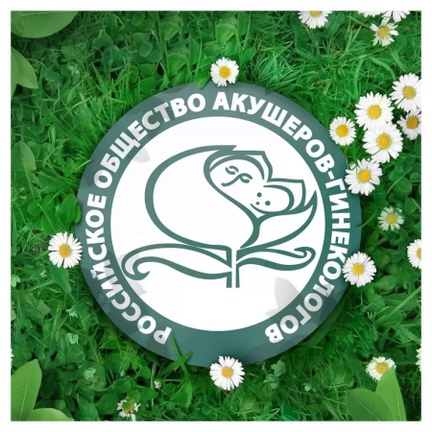 Naturella Ultra Normal Single, Прокладки гигиенические (Ромашка), 10 шт