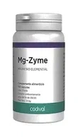 Codival, Mg-Zyme магний 100 мг, Капсулы