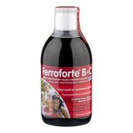 Ferroforte, Железо + Витамины В и С, Жидкость, 500 мл